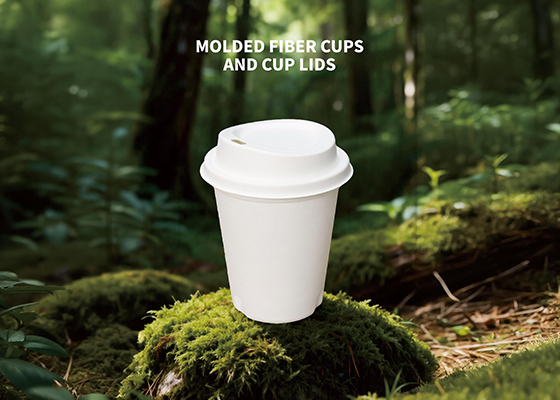 两面光纸浆模塑盖+杯设备